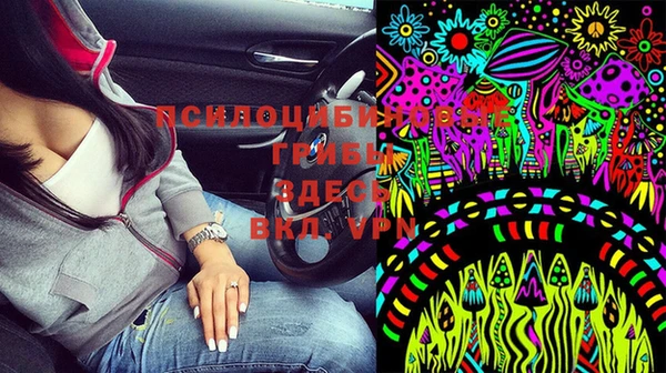 соль ск Алексин