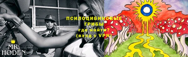 соль ск Алексин